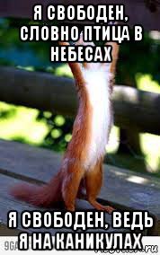 Свобода демотиваторы