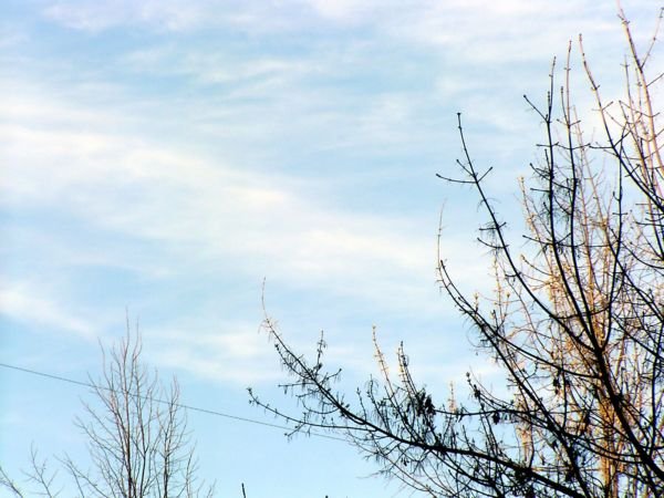 Весеннее небо