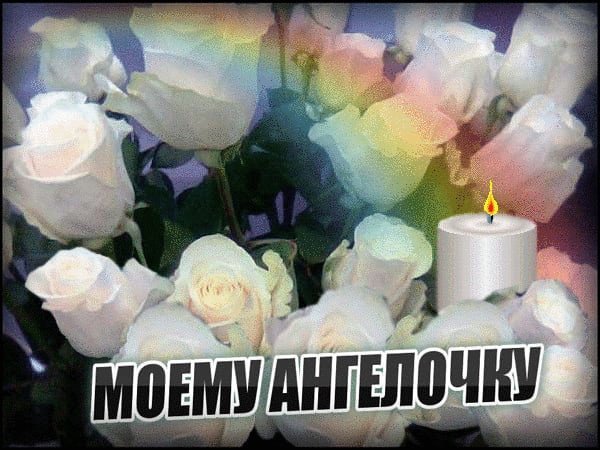 И отпустить их к птицам стих