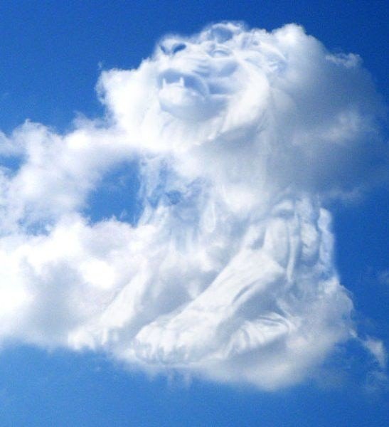 Облака похожие на животных