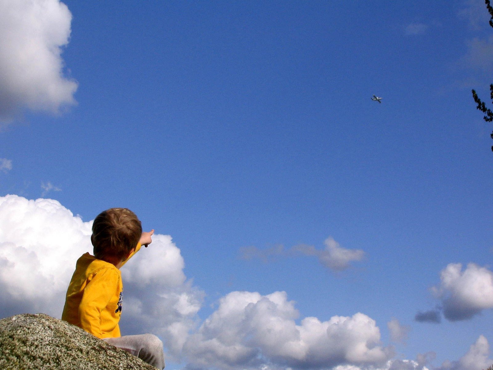 Посмотри на небо и увидел. Дети вдалеке. Мальчик небо. Ребенок смотрит в небо.