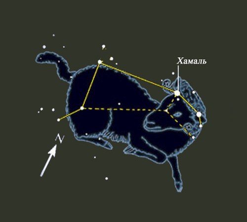 Картинки созвездие овна на небе для детей (63 фото)
