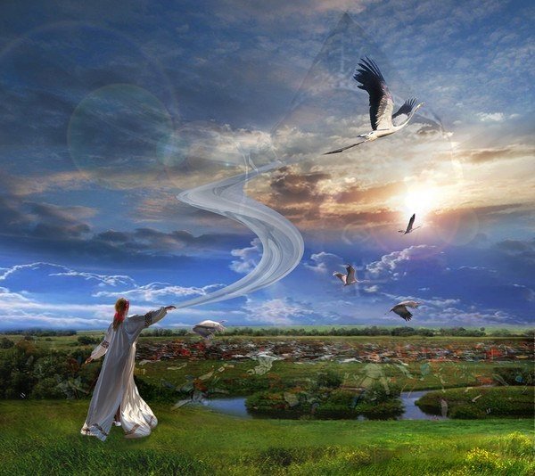 Девушка и Журавли в небе