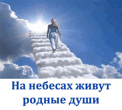 На небесах живут родные души