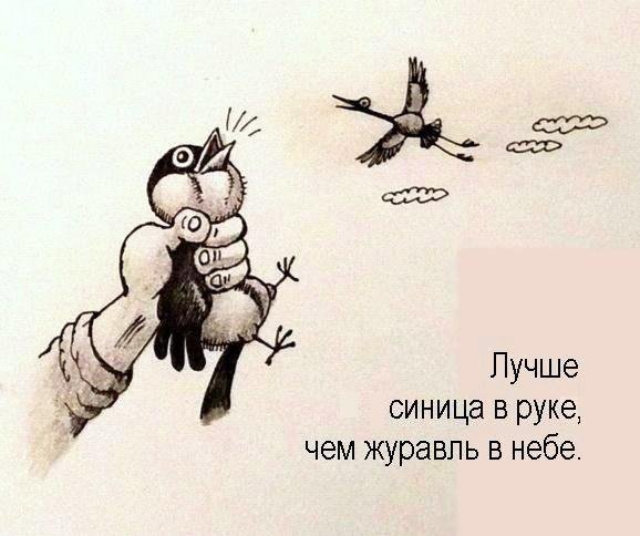 Лучше синица в руках чем журавль в небе