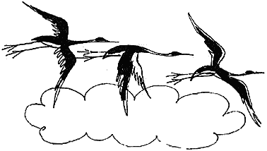 Аист для раскрашивания