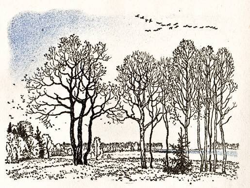 Уж небо осенью дышало рисунок к стихотворению