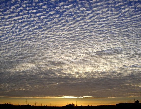 Импрессионизм в поэзии