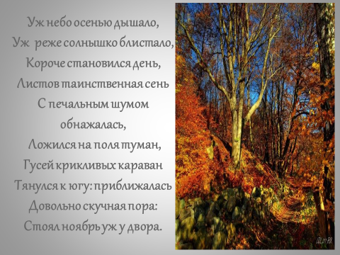 Стихотворение Пушкина уж небо осенью дышало текст