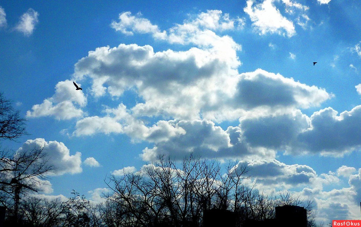 Ветер приносит 2. Весеннее небо. Голубое Весеннее небо. Весенние облака. Облака весной.