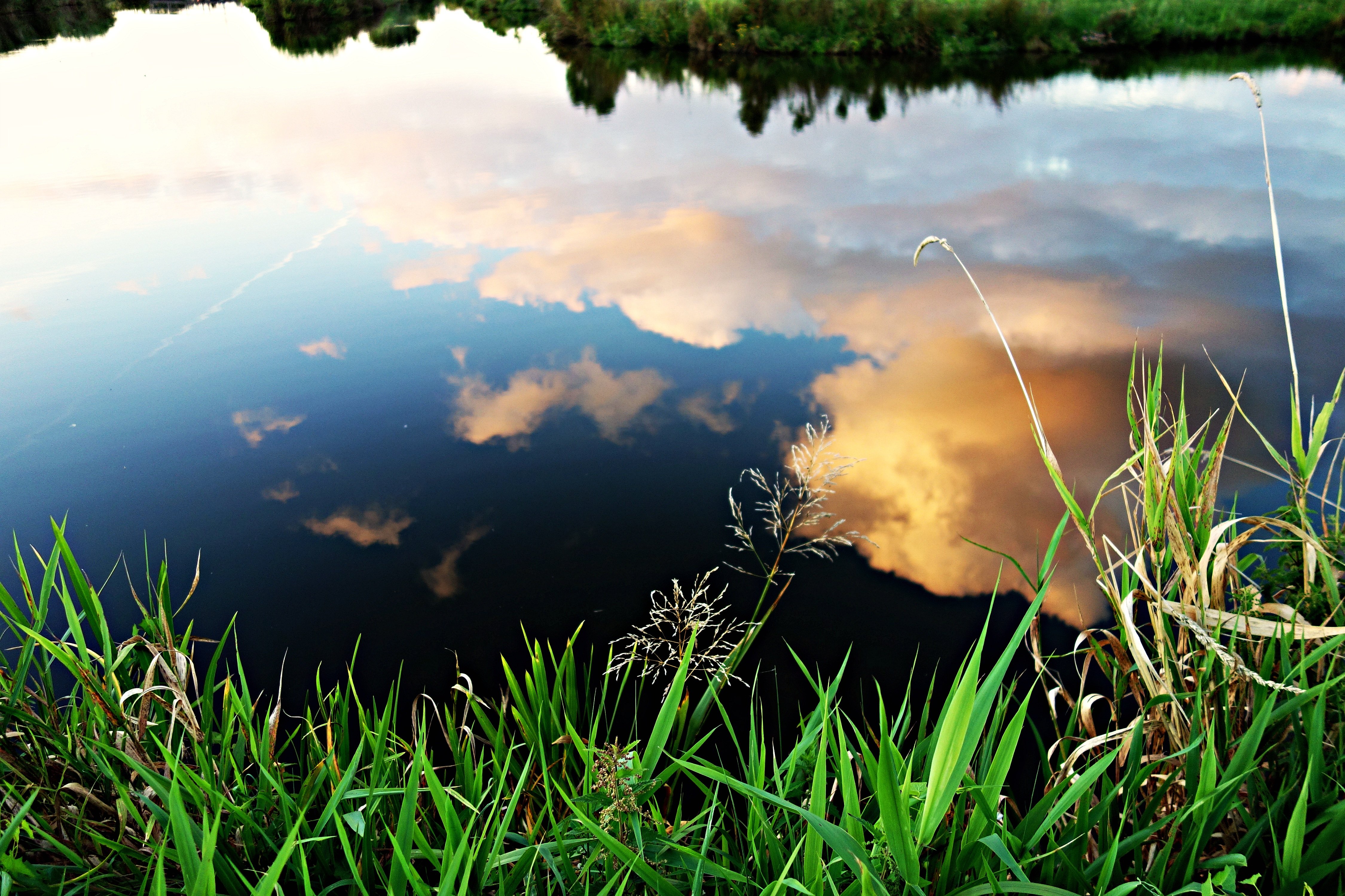 Внизу над рекой. Отражение в воде. Отражение в озере. Отражение неба в реке. Трава в воде.