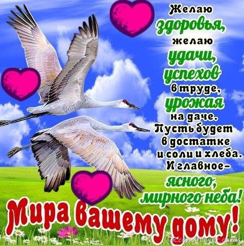 Пусть будет мир