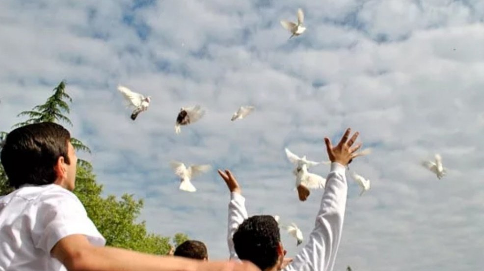 Отпускание голубей. Выпускают голубей в небо. Счастливая Мирная жизнь. Отпускание птицы.