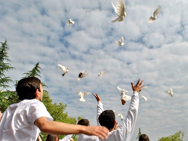 Голубь мира в руках