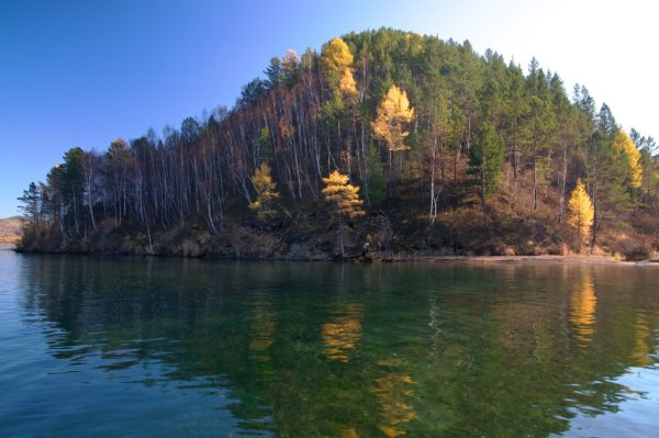 Река Киренга Иркутская
