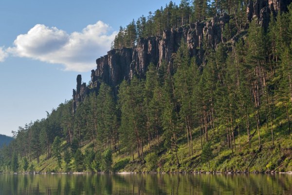 Устье реки Киренга