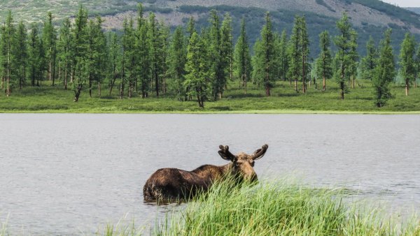 Нижняя Тунгуска Иркутская область