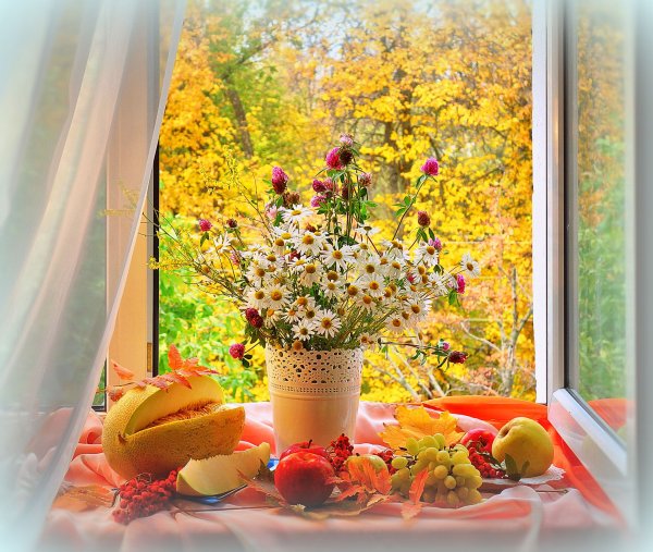 Удачного дня природа