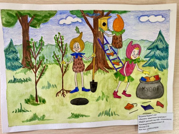 Эколята защитники природы рисунки в садик на конкурс