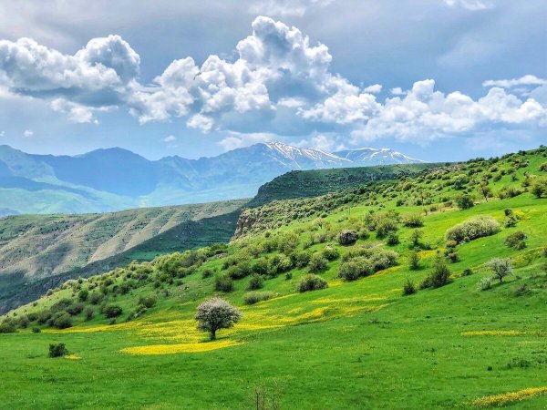 Карабах природа Арарат