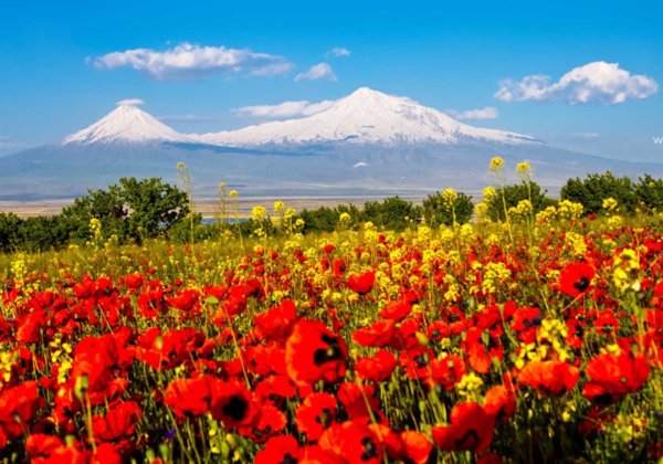 Гора Арагац маки