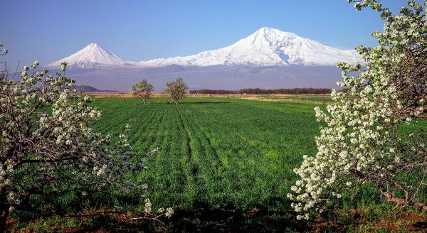Гергетская Церковь Грузия оргаменты