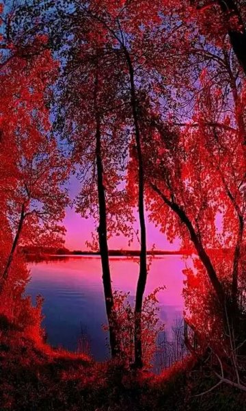 Красивые пейзажи вертикальные
