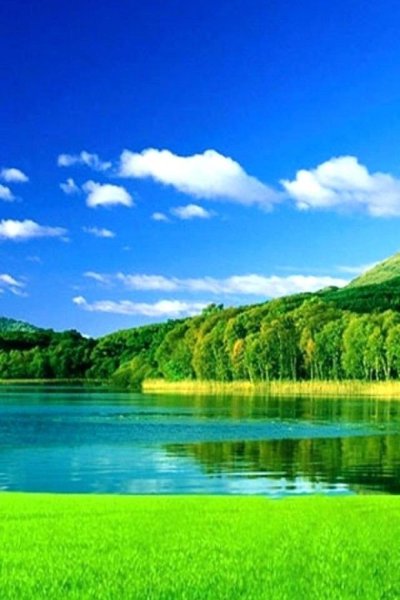 Пейзаж горы лес