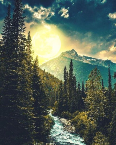 Природа вертикальные