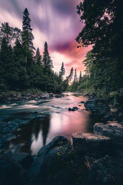 Задний фон природа