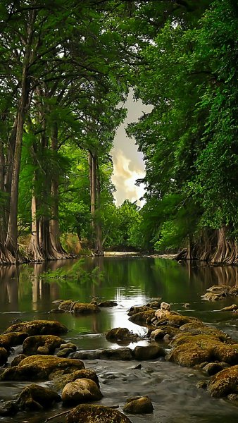 Водопад кувшинки