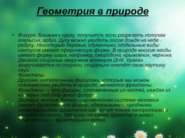 Геометрические фигуры в природе