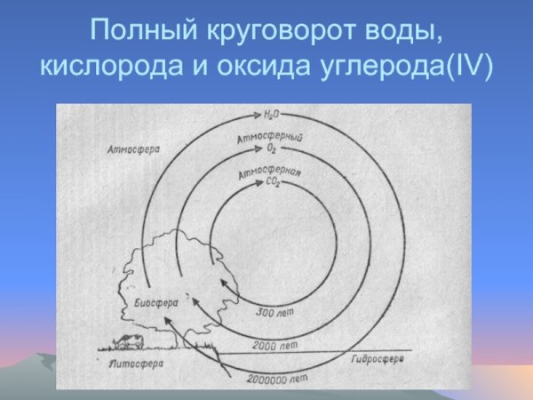 Биогеохимический цикл кислорода схема