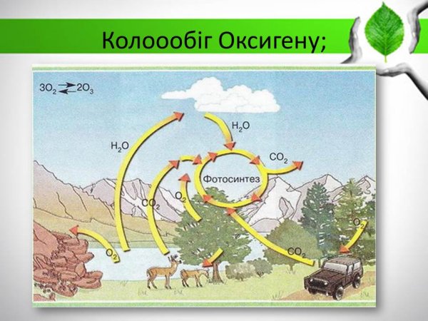 Круговорот азота в природе атмосфера схема