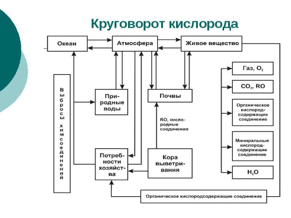 Круговорот кислорода в природе химия 8