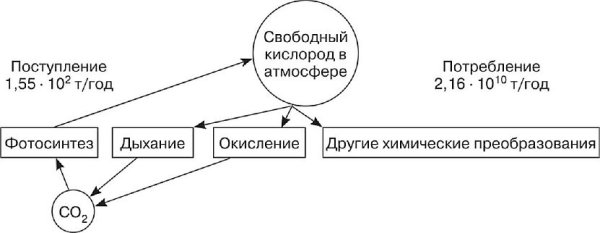 Схема кислорода в природе