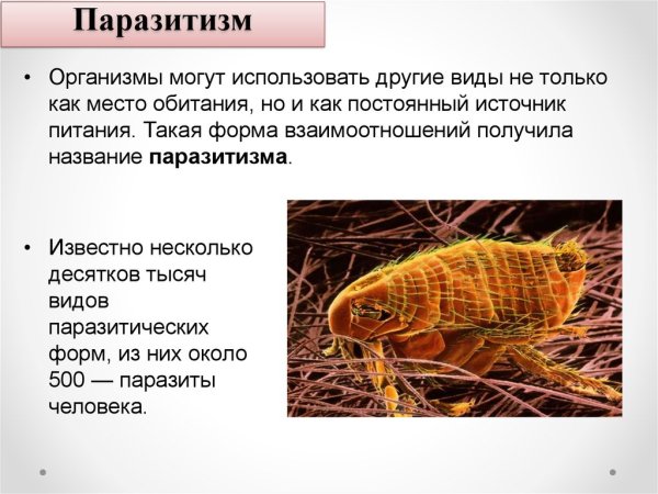 Факультативный паразитизм