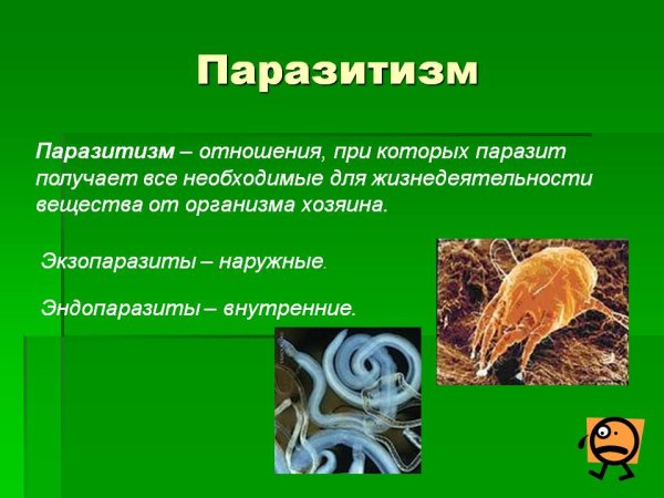 Биотические факторы паразитизм