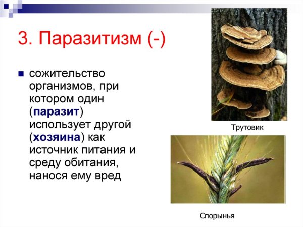 Распространение паразитизма в природе