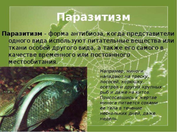 Происхождение паразитизма