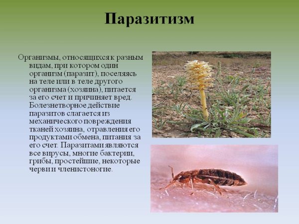 Биотические факторы паразитизм