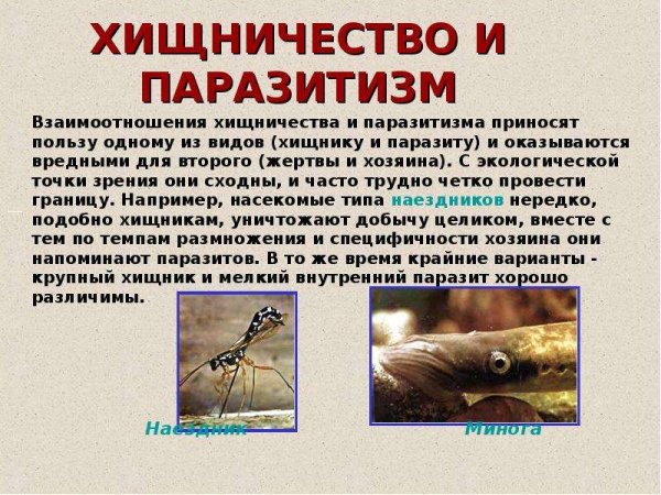 Паразитизм это в паразитологии