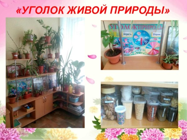Уголок живой природы
