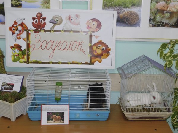 Животные живого уголка