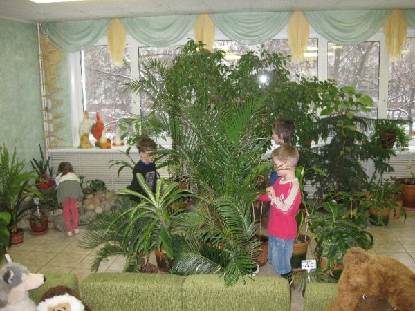 Уголок живой природы в детском саду