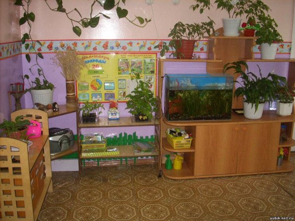 Сюжетная картина в живом уголке