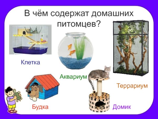 Природный уголок в детском саду