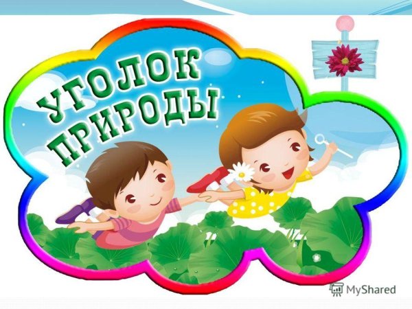 Календарь природы для детского сада