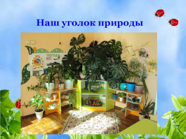 Дети в живом уголке