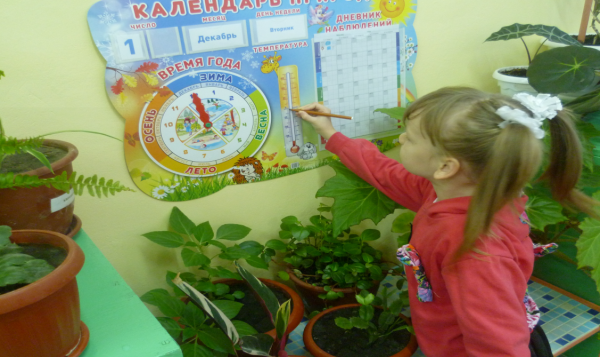 Живой уголок в садике